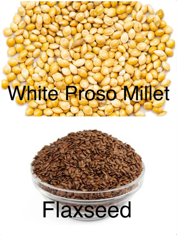 A picture of white proso millet and flaxseed